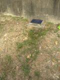 image of grave number 379363